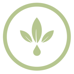 CBD Store ZA