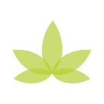 MiNDFUL Aurora