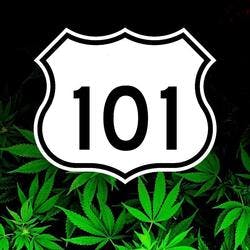 Club 101
