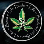 Buds 4 Life 2.o