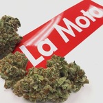 La Mota - Eugene