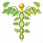 The Holistic Co-op