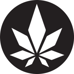 BCC Collective
