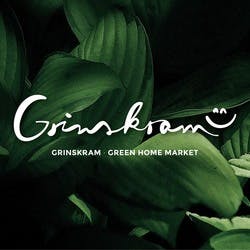 Grinskram Mainz