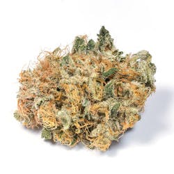 Cannabis Guardian