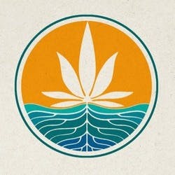 Cali Roots - Norman
