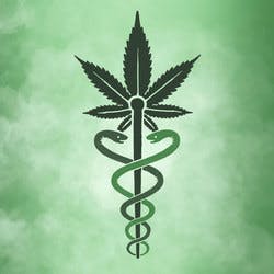 Cannabis Stop Shop