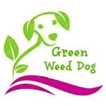 Green Weed Dog - Fast Free Delivery! FREE HASH*