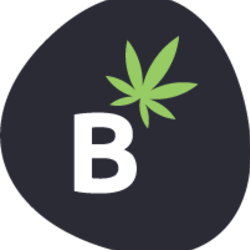 Berkeley Dispensary