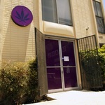 Purple Leaf-$40 CAP FTP: BOGO on everything!