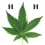 Heavenly Herb 