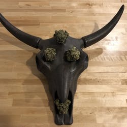 Green Alley Wellness