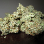 OG ALLDAY 24 hr
