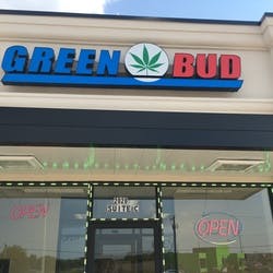 GREEN BUD