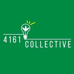 4161 Collective