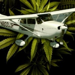 Green Land