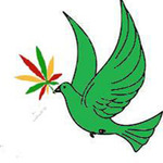 GDC Delivery ( Formally Green Dove Cooperative)