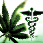 HEMPIRE SAFE ACCESS