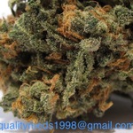 QualityMedsSince1998 