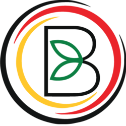 Indigenous Bloom