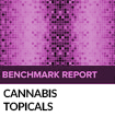 Best Cannabis Topicals